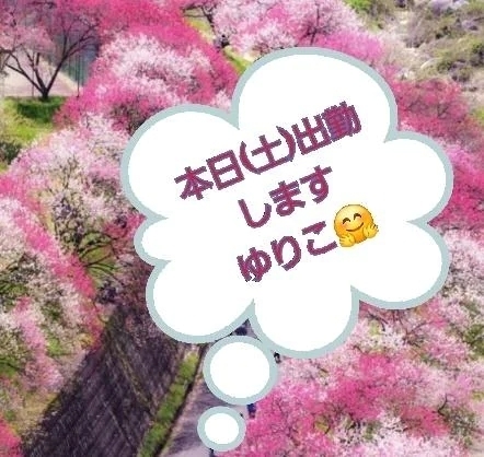 本日(土)出勤します🤗