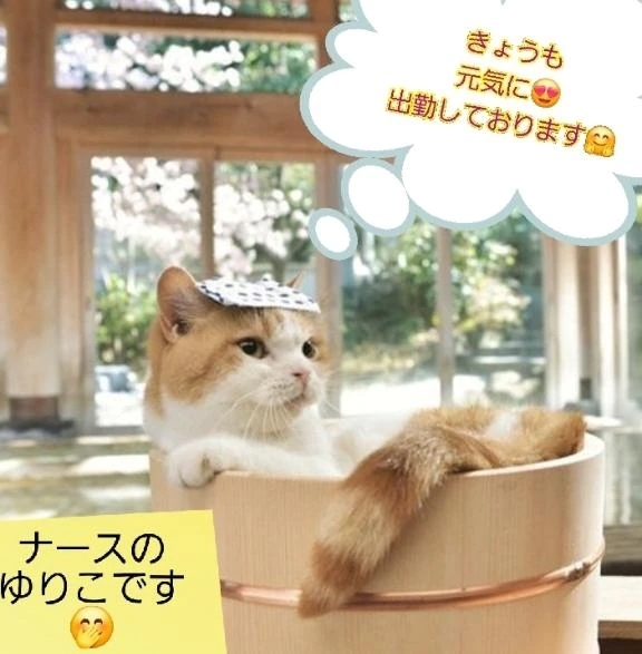 こんにちは🤗