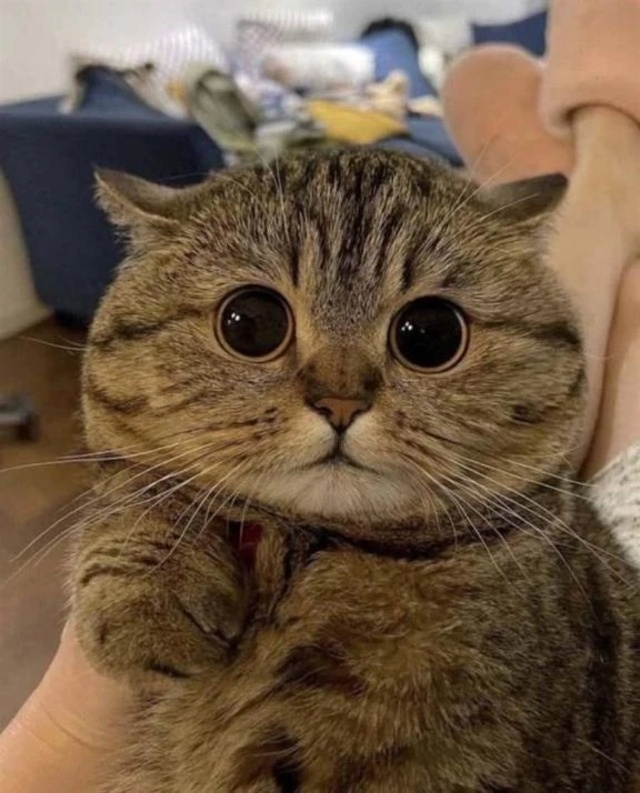 まだまだ受付けしてます(*^^*)｜写メ日記｜みくる｜立川・八王子・三多摩 人妻デリヘル 完熟ばなな八王子