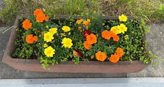 今日はお休みです。｜写メ日記｜ゆい｜立川・八王子・三多摩 人妻デリヘル 完熟ばなな八王子