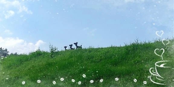 涼しい～(*^^*)｜写メ日記｜はるか｜立川・八王子・三多摩 人妻デリヘル 完熟ばなな八王子