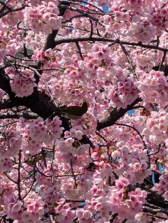 3月に感謝