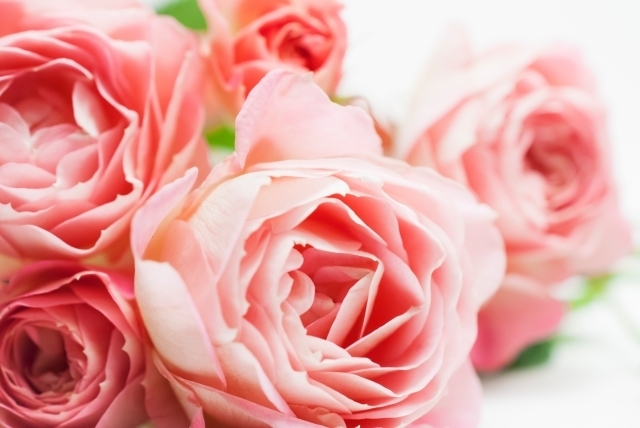 これから向かいます｜写メ日記｜大石｜鶯谷 人妻デリヘル 魅惑の人妻