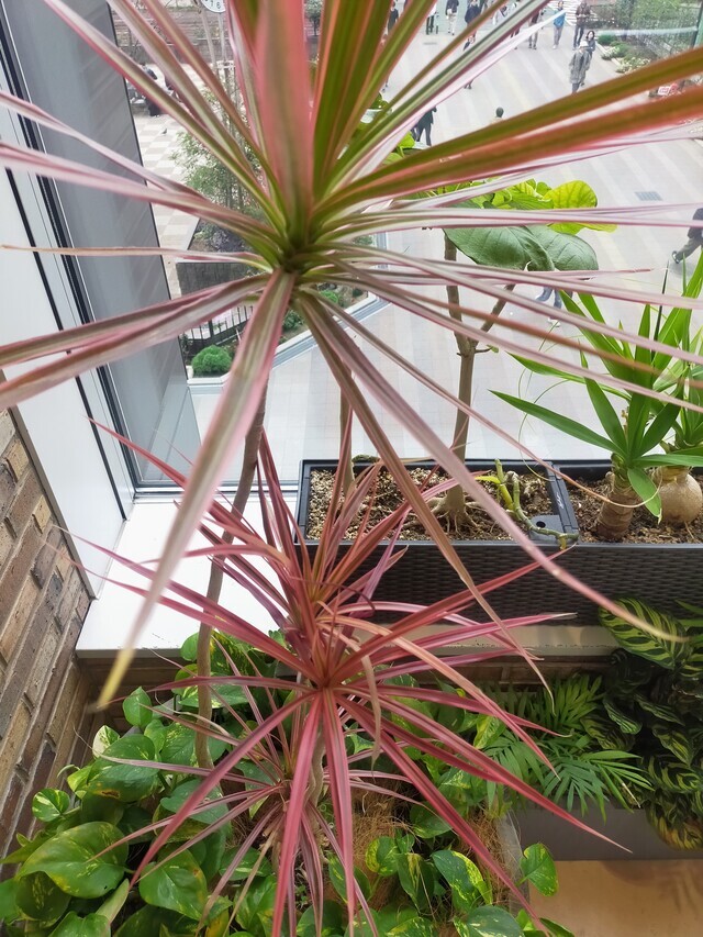 出勤しています💝