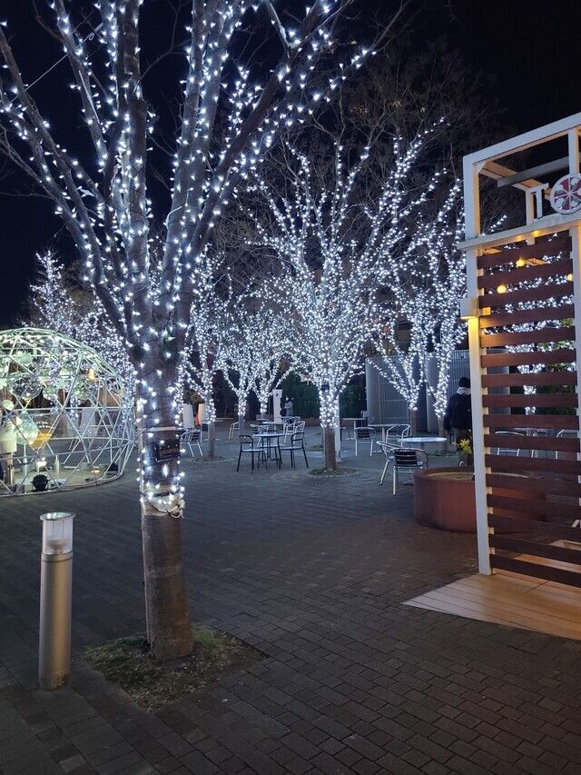 出勤します｜写メ日記｜滝川｜鶯谷 人妻デリヘル 魅惑の人妻