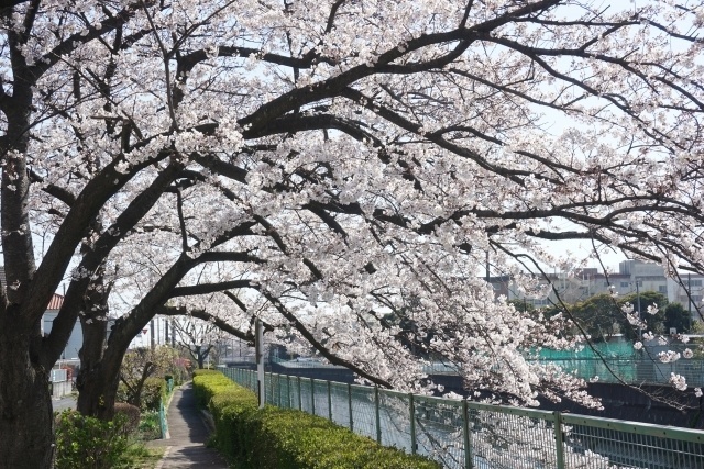 癒されますね｜写メ日記｜倉科｜鶯谷 人妻デリヘル 魅惑の人妻