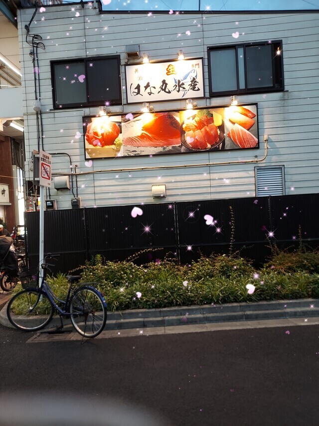 こんにちは|写メ日記|サフランのマユカ|鶯谷 人妻デリヘル C級グル女 鶯谷店