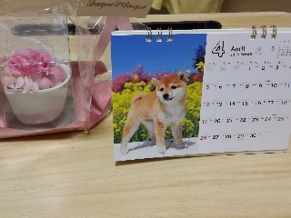 こんにちは｜写メ日記｜サフランのマユカ｜鶯谷 人妻デリヘル C級グル女　鶯谷店