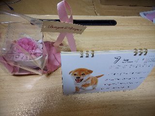 こんにちは｜写メ日記｜サフランのマユカ｜鶯谷 人妻デリヘル C級グル女　鶯谷店