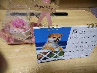 出勤しました｜写メ日記｜サフランのマユカ｜鶯谷 人妻デリヘル C級グル女　鶯谷店