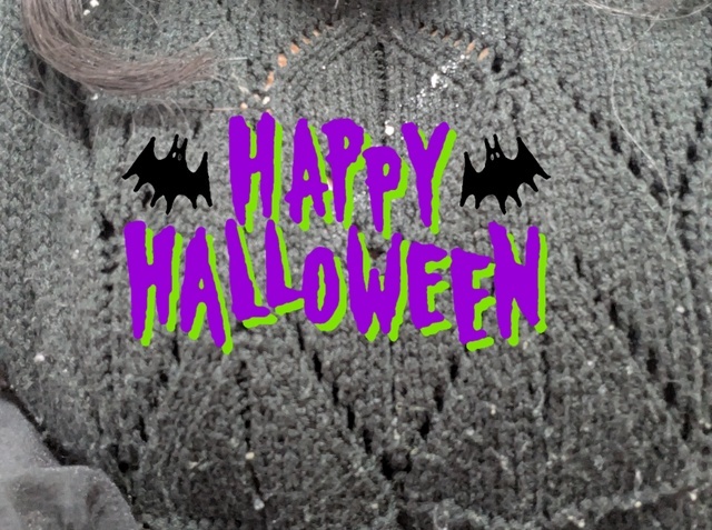 お久しぶりです