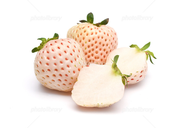 出勤しています。