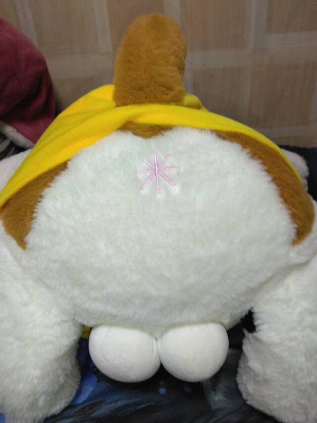 出勤（生存）してます。｜写メ日記｜いちごのイロハ｜鶯谷 人妻デリヘル C級グル女　鶯谷店