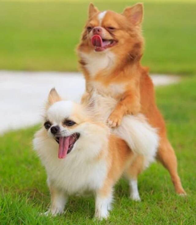 月曜日出勤　やってる！やってる!!｜写メ日記｜いちごのイロハ｜鶯谷 人妻デリヘル C級グル女　鶯谷店