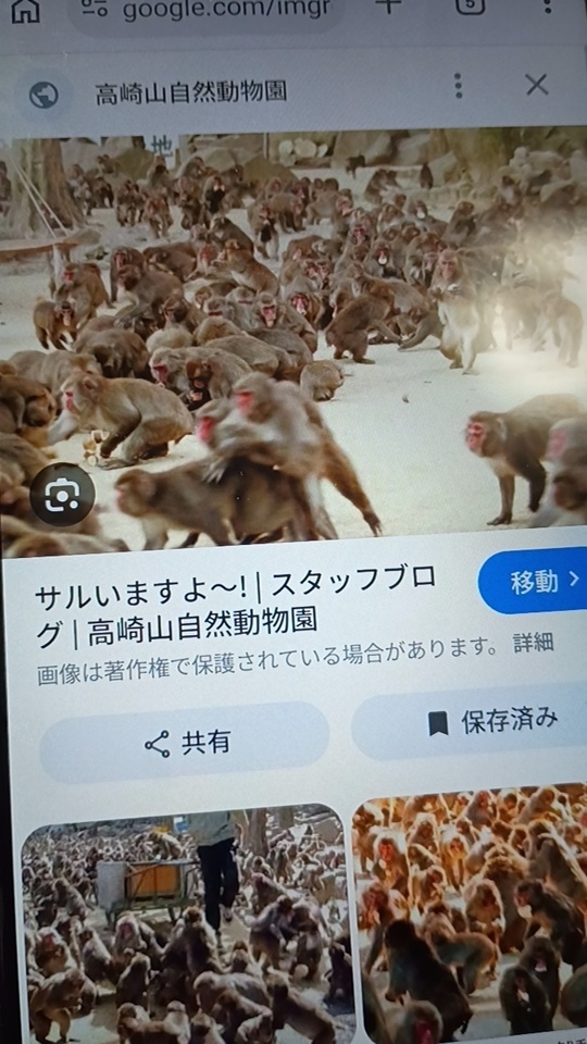 急募。｜写メ日記｜いちごのイロハ｜鶯谷 人妻デリヘル C級グル女　鶯谷店