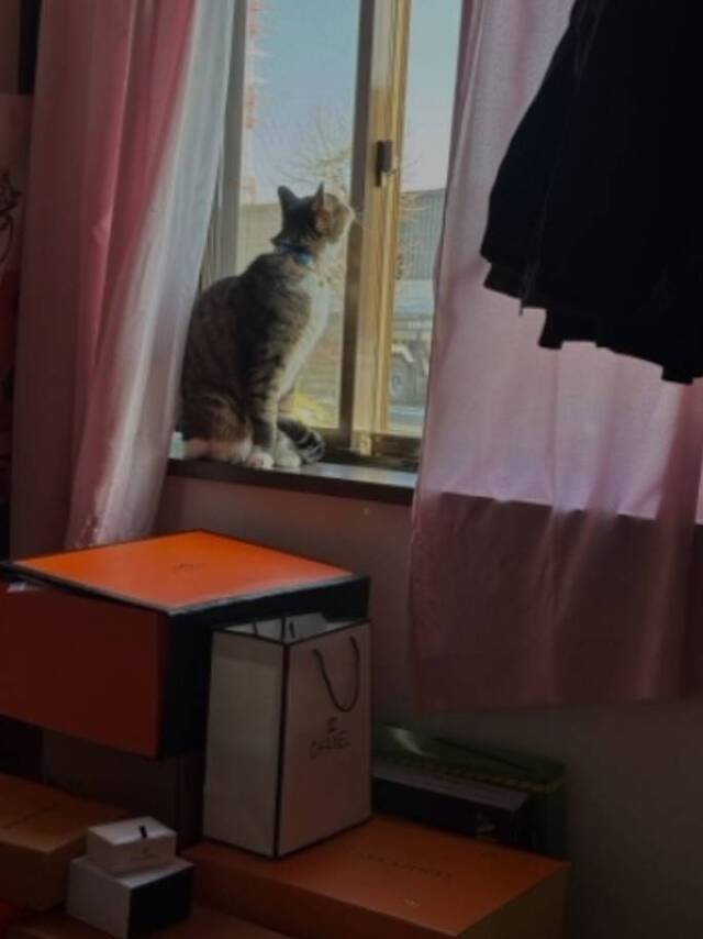 from:ムスクさん｜写メ日記｜メロンソーダのユメカ｜鶯谷 人妻デリヘル C級グル女　鶯谷店