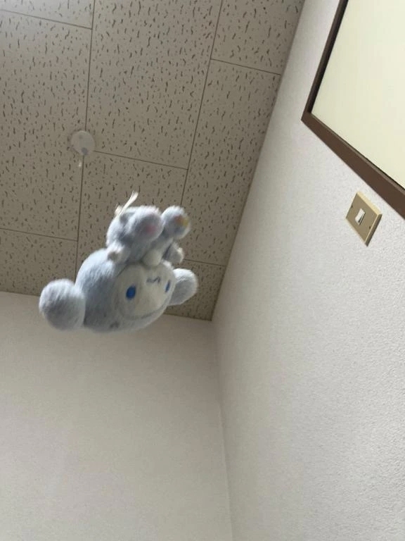 ごめんなさい🙇🏻‍♀️｜写メ日記｜もも｜立川・八王子・三多摩 一般デリヘル すぐ舐めたくて学園～舐めたくてグループ立川校～