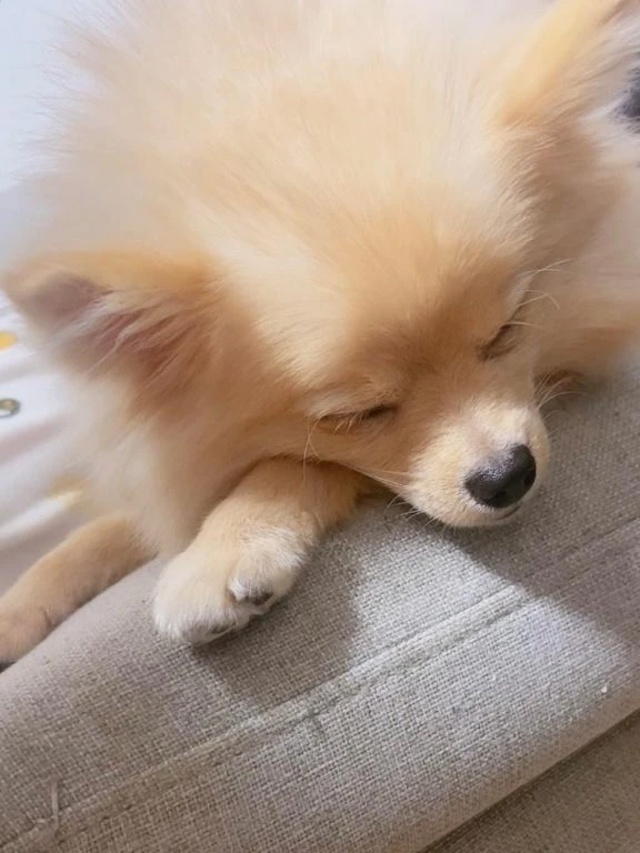 でも許せちゃうんだよなぁ🥲｜写メ日記｜おとは｜立川・八王子・三多摩 一般デリヘル すぐ舐めたくて学園～舐めたくてグループ立川校～