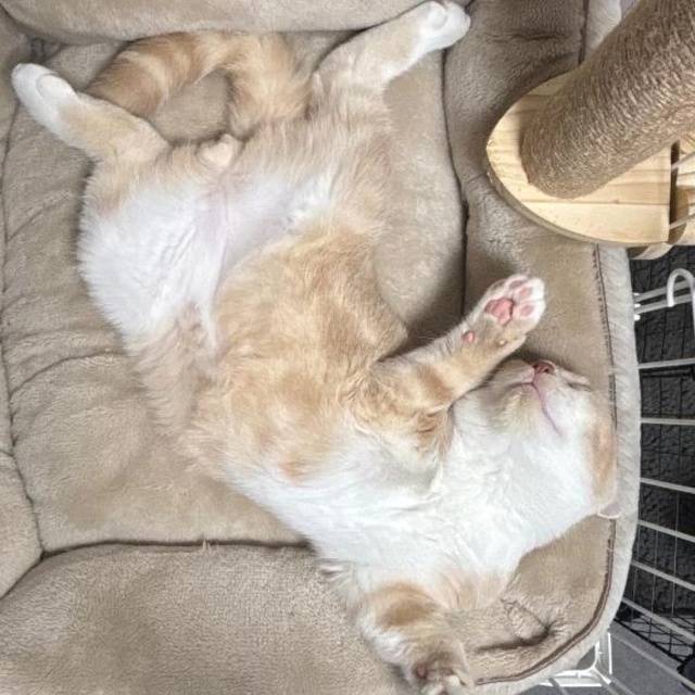 ご報告｜写メ日記｜ぽんかん｜立川・八王子・三多摩 一般デリヘル すぐ舐めたくて学園～舐めたくてグループ立川校～