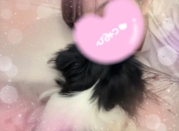 お久しぶりです🥹❤️｜写メ日記｜ゆうか｜立川・八王子・三多摩 一般デリヘル すぐ舐めたくて学園～舐めたくてグループ立川校～