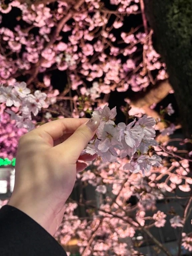 決まったよー🥰❤️｜写メ日記｜ゆうか｜立川・八王子・三多摩 一般デリヘル すぐ舐めたくて学園～舐めたくてグループ立川校～