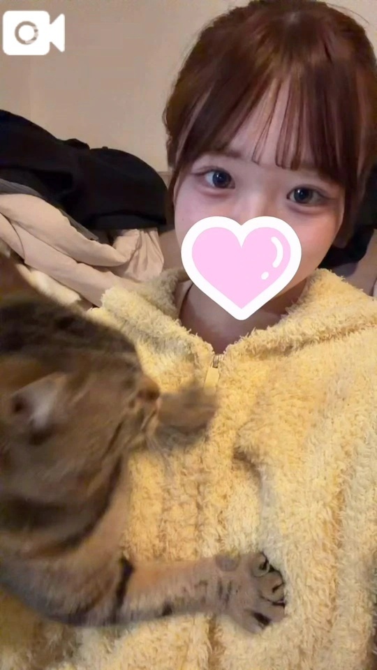 猫と遊んでる😽｜写メ日記｜ねいろ｜立川・八王子・三多摩 一般デリヘル すぐ舐めたくて学園～舐めたくてグループ立川校～