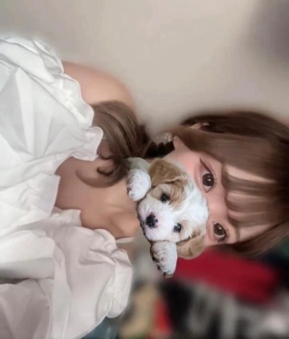 わんわん🐶｜写メ日記｜れあ｜立川・八王子・三多摩 一般デリヘル すぐ舐めたくて学園～舐めたくてグループ立川校～