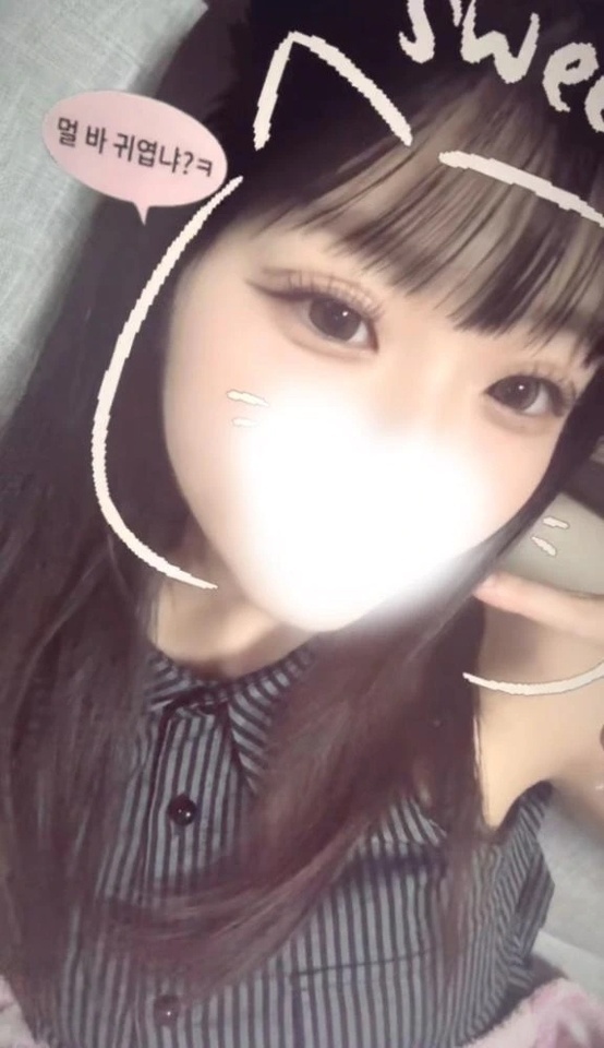 キャメルインウェスト 223 💌