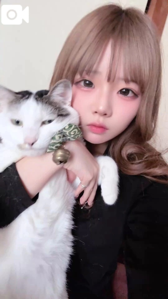 ねこがねこであるように！｜写メ日記｜なのは｜立川・八王子・三多摩 一般デリヘル 八王子ペロンチョ学園～舐めたくてグループ八王子校～