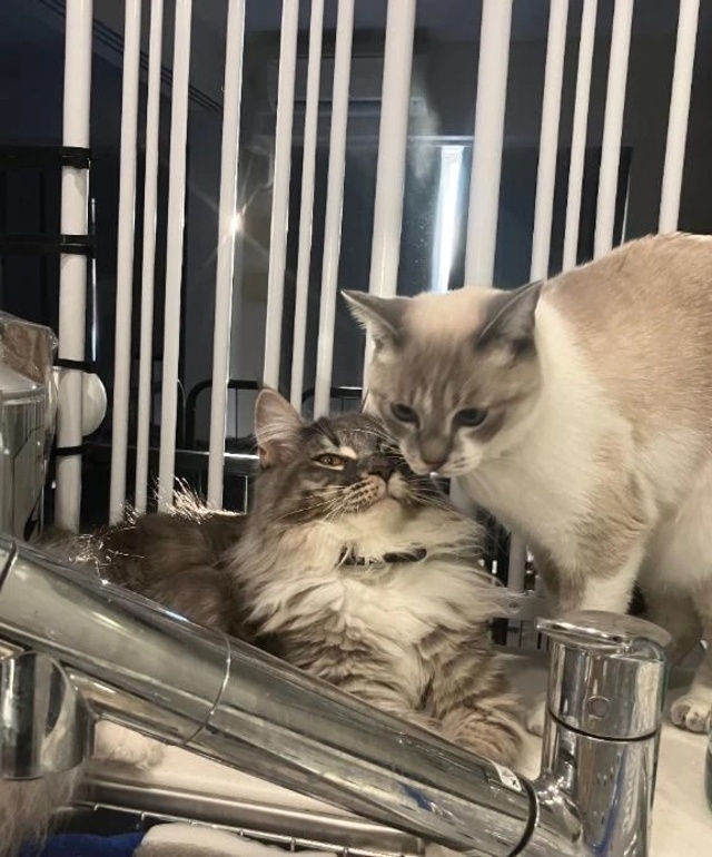 申し訳なかったです😭｜写メ日記｜きらら｜立川・八王子・三多摩 一般デリヘル 八王子ペロンチョ学園～舐めたくてグループ八王子校～