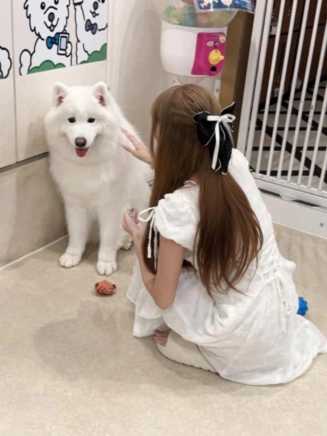もふもふ天国♡｜写メ日記｜あい｜立川・八王子・三多摩 一般デリヘル 八王子ペロンチョ学園～舐めたくてグループ八王子校～