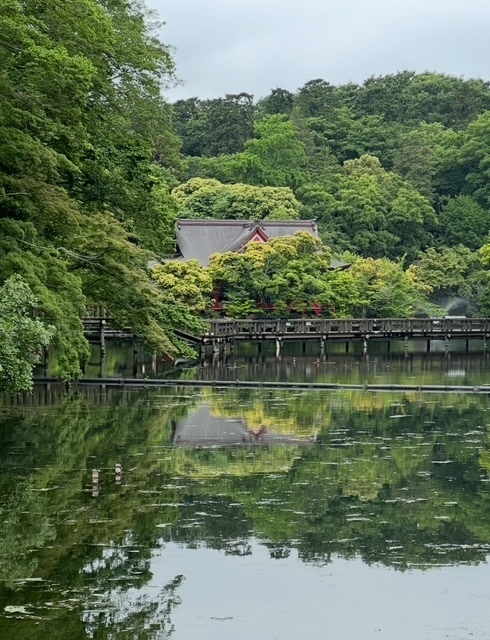 ゆらぎですꕤ︎︎·͜·｜写メ日記｜ゆらぎ｜中野・吉祥寺 人妻デリヘル 吉祥寺人妻研究会