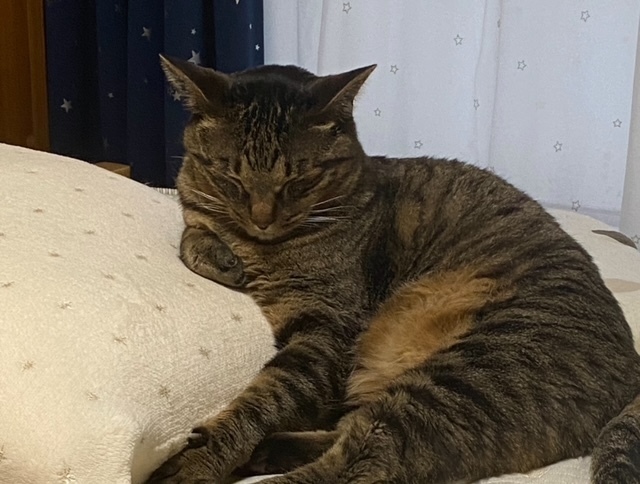 お休みのお知らせ