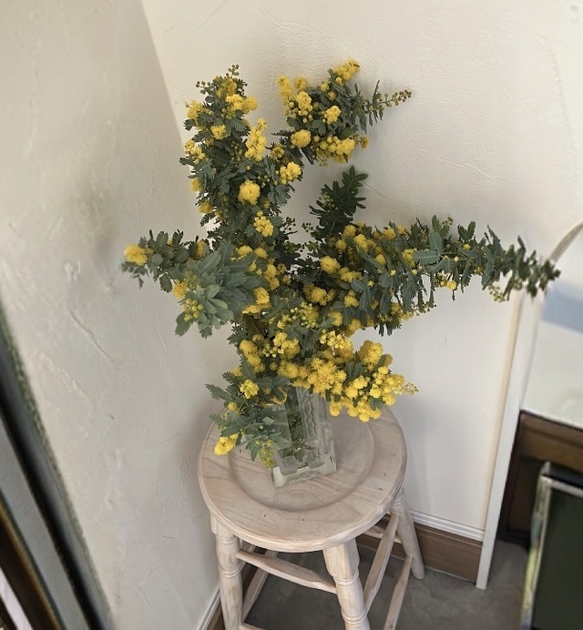 出勤予定のお知らせꕤ︎︎·͜·｜写メ日記｜ゆらぎ｜中野・吉祥寺 人妻デリヘル 吉祥寺人妻研究会