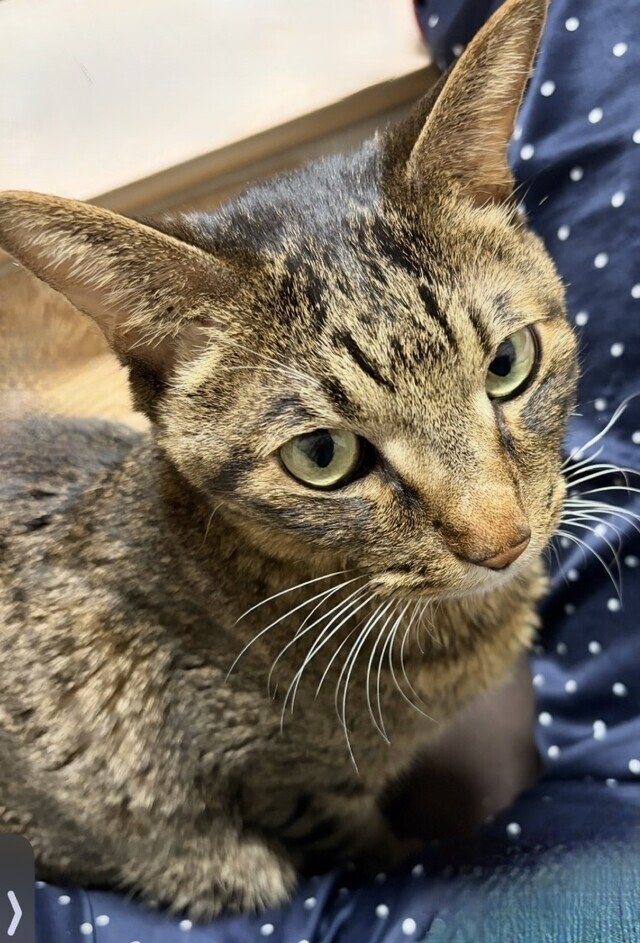 ごめんなさい｜写メ日記｜ゆらぎ｜中野・吉祥寺 人妻デリヘル 吉祥寺人妻研究会