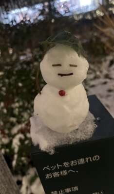 13時から❤️‍🔥｜写メ日記｜きりこ｜中野・吉祥寺 人妻デリヘル 吉祥寺人妻研究会