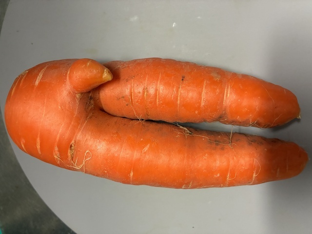 とっても卑猥な…♡