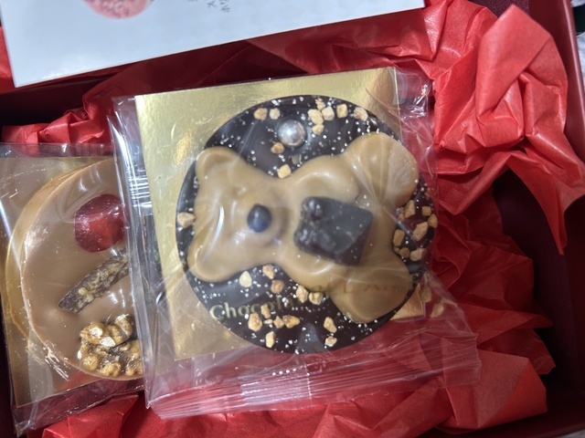 勝利のベア🐻🐎｜写メ日記｜うたは｜中野・吉祥寺 人妻デリヘル 吉祥寺人妻研究会