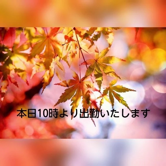 おはようございます！｜写メ日記｜いずみ｜新宿 人妻デリヘル 完熟ばなな 新宿