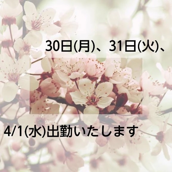 こんにちは！｜写メ日記｜いずみ｜新宿 人妻デリヘル 完熟ばなな 新宿