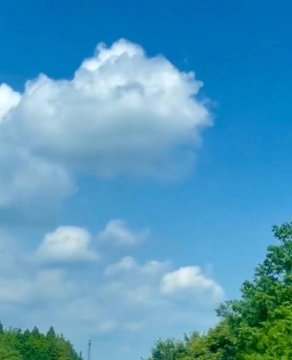 空の青さと深い緑と｜写メ日記｜そら｜新宿 人妻デリヘル 完熟ばなな 新宿