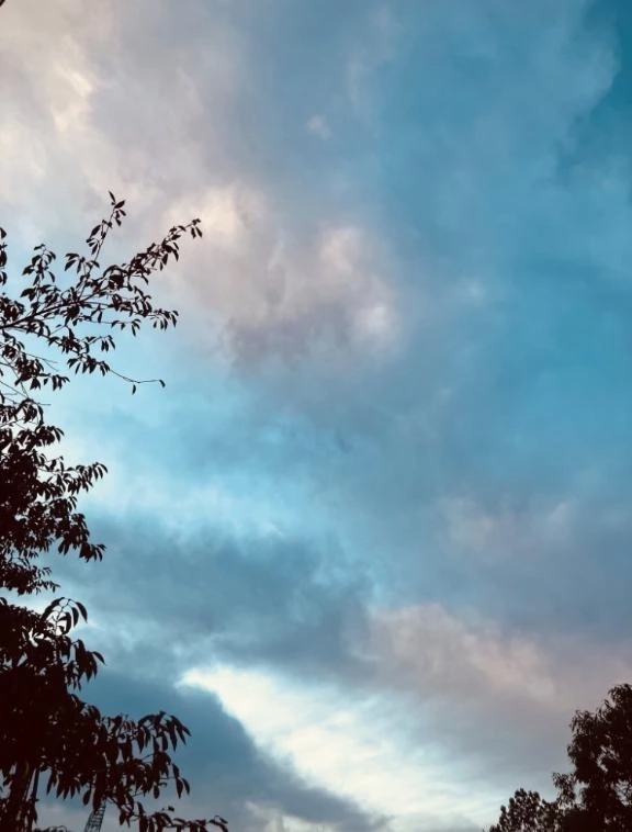 日曜出勤♪｜写メ日記｜そら｜新宿 人妻デリヘル 完熟ばなな 新宿