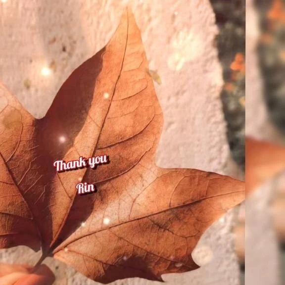 お礼日記♡｜写メ日記｜りん｜新宿 人妻デリヘル 完熟ばなな 新宿