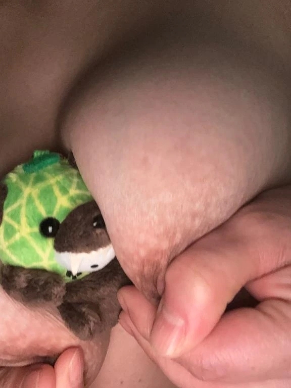 次回、２月ラストで28日🗼