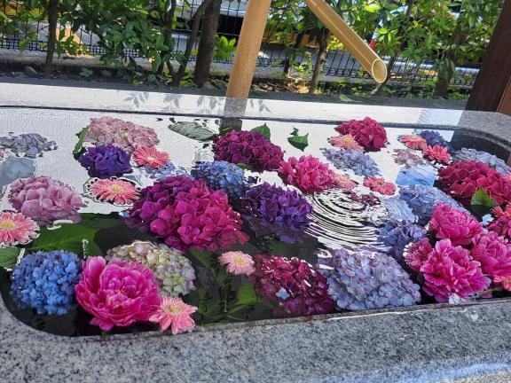 🌷花手水🌷