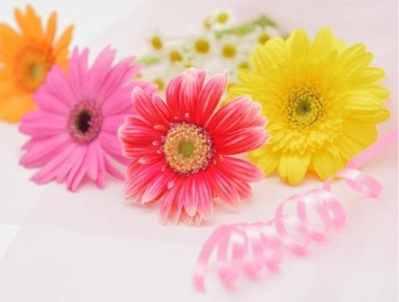 🌷明日… お仕事します🌷｜写メ日記｜はな｜新宿 人妻デリヘル 完熟ばなな 新宿