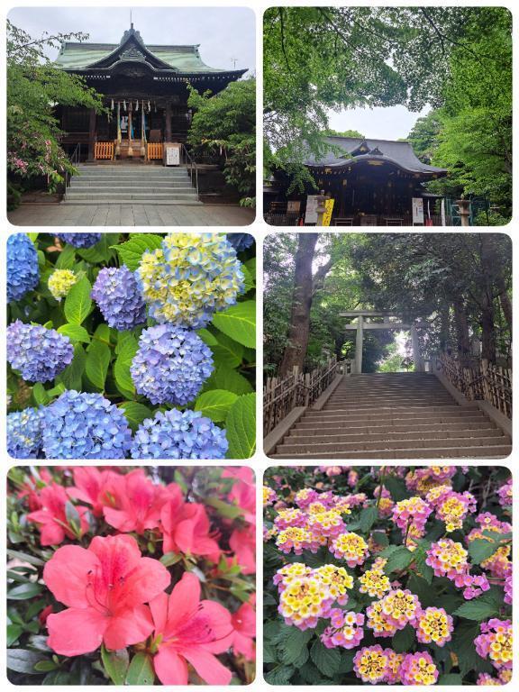 🌷静寂のオアシス🌷｜写メ日記｜はな｜新宿 人妻デリヘル 完熟ばなな 新宿
