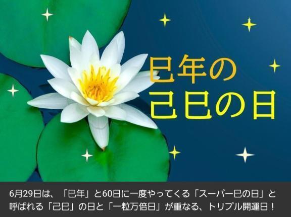 🌷巳年の己巳の日・トリプル開運日🌷