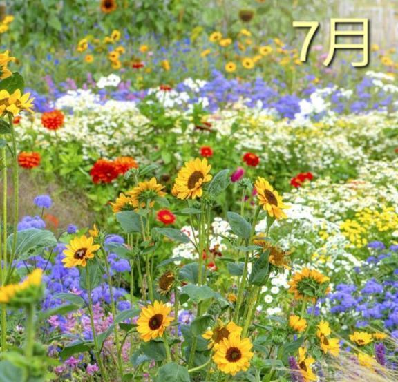 🌷7月  ご挨拶🌷｜写メ日記｜はな｜新宿 人妻デリヘル 完熟ばなな 新宿