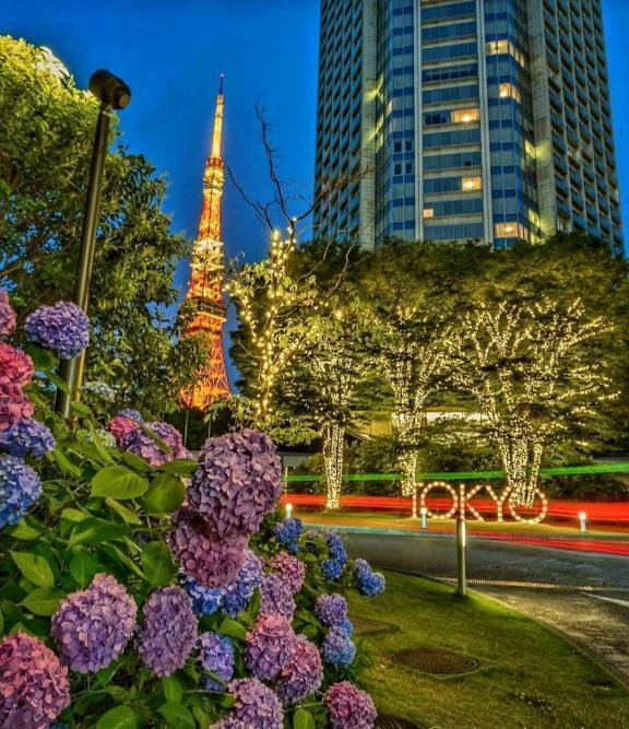🌷7月17日🌷｜写メ日記｜はな｜新宿 人妻デリヘル 完熟ばなな 新宿
